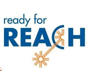 想做reach检测不知道有哪些检测项目