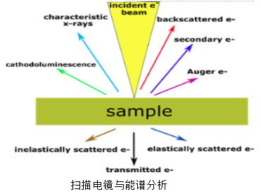 扫描电镜与能谱分析