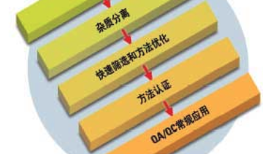 杂质分析